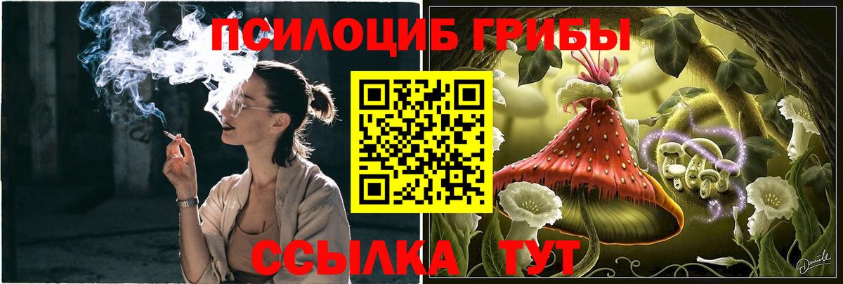 Псилоцибиновые грибы GOLDEN TEACHER Рузаевка