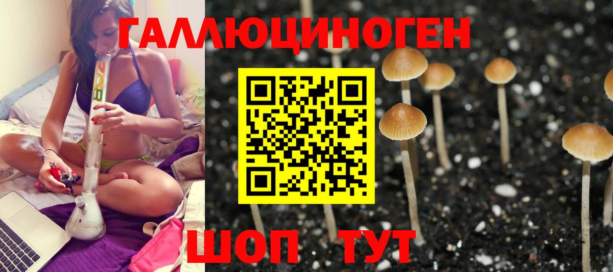 Галлюциногенные грибы Psilocybe  Вход с VPN  Рузаевка 